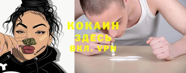 молекула духа Алзамай
