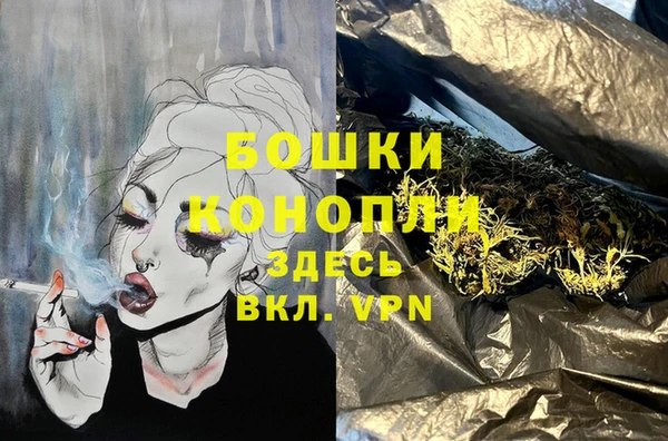 молекула духа Алзамай