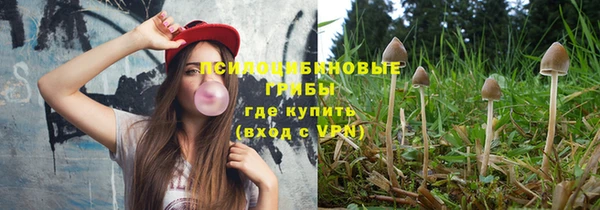 спиды Алексин