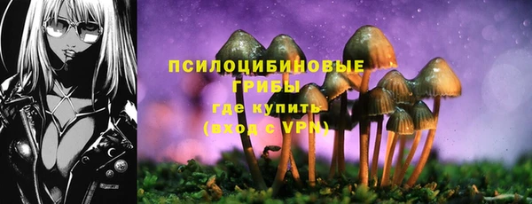 молекула духа Алзамай