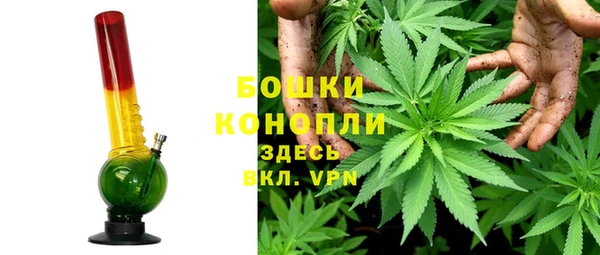 молекула духа Алзамай